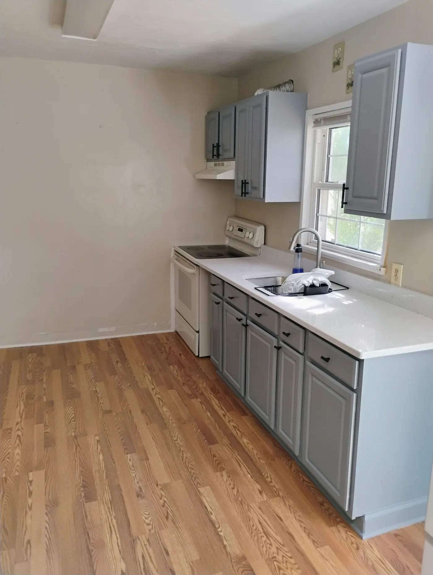 Cabinet painting kitchen Sarasota 2026